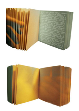 song xiewei biennale 2010